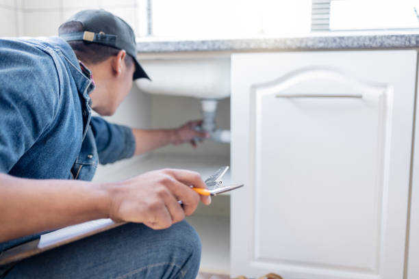 Best Plumbing Services Near Me  in Pine Level, AL